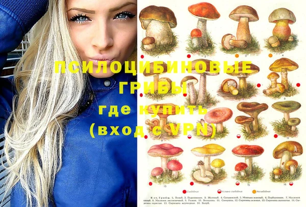 jwh Белокуриха