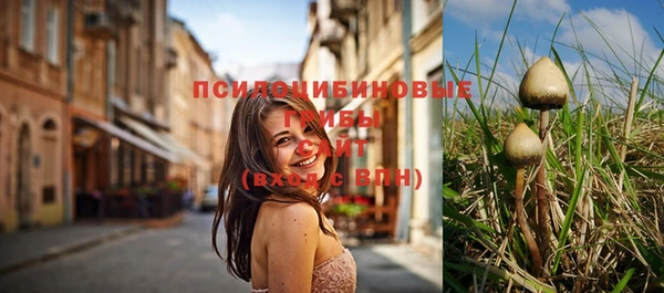 дмт Михайловск